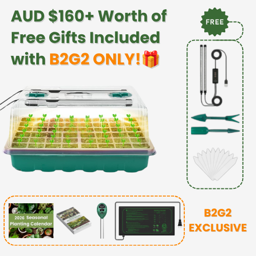 Seed Starter Kit