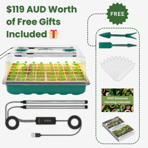 Seed Starter Kit