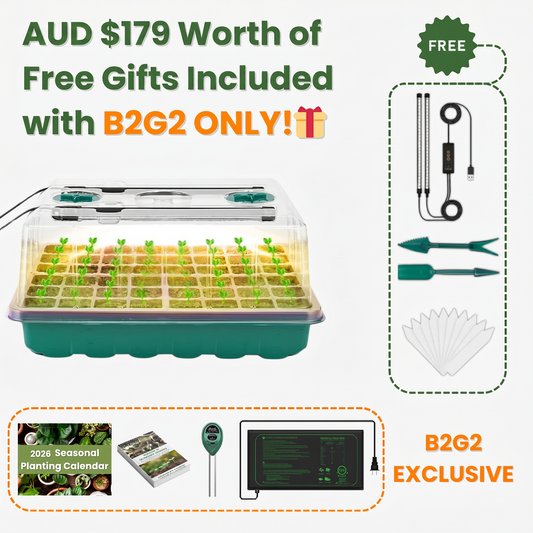 Seed Starter Kit
